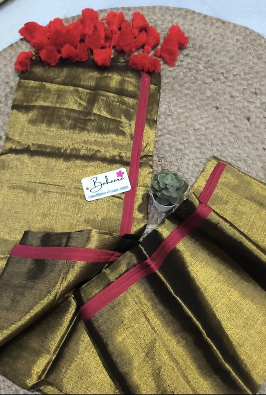 Suhani | Metallic Gold Tissue Saree with Red Border