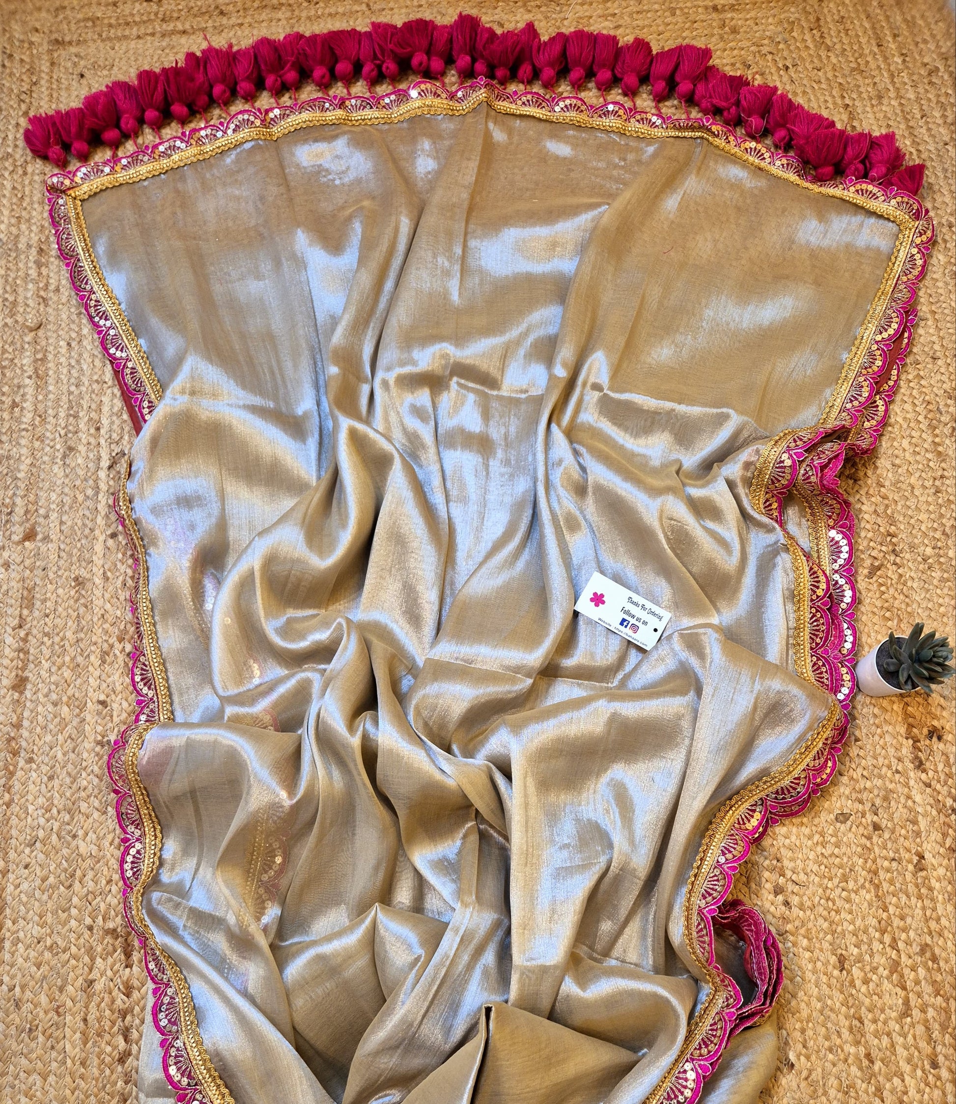 Megha | Breezy Beige Grace Tissue Saree with Tissue Lace