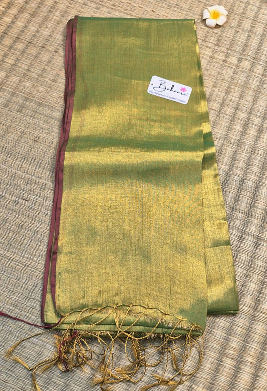 Suhani | Light Green Tissue Saree