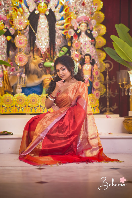 Megha | Multicoloured Tissue Saree