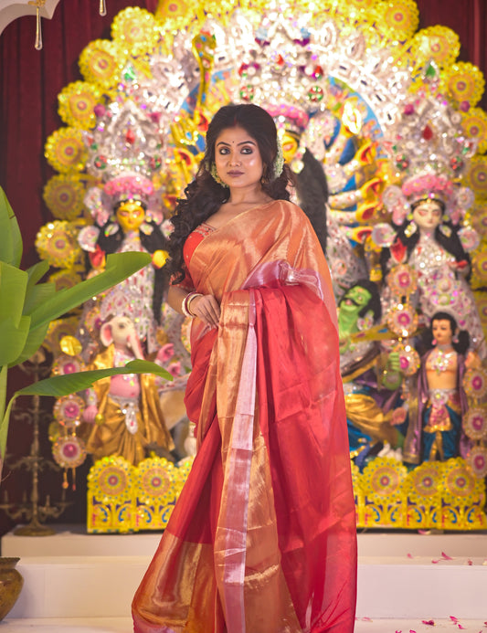 Megha | Multicoloured Tissue Saree