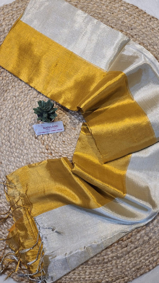 Jashn | Gold and Silver Tissue Saree