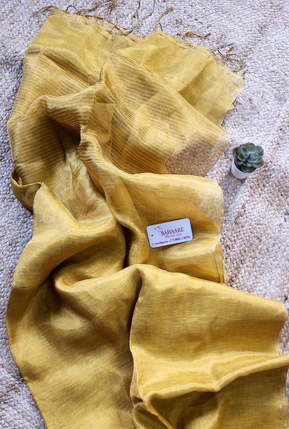 Springtime Serenity | Gold Tissue Linen Saree