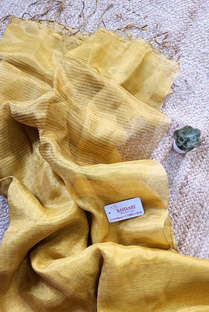 Springtime Serenity | Gold Tissue Linen Saree