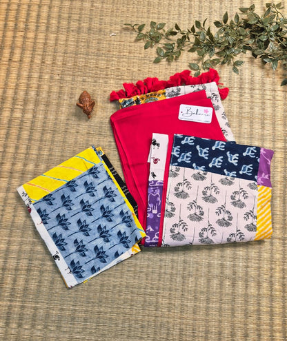 Cotton Galleria | Sindoori Heritage Cotton Saree with Multicoloured Patchwork Pallu