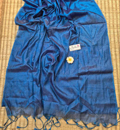 Galaxy | Robin Blue Dual Tone Tissue Saree with Zari Line Pallu