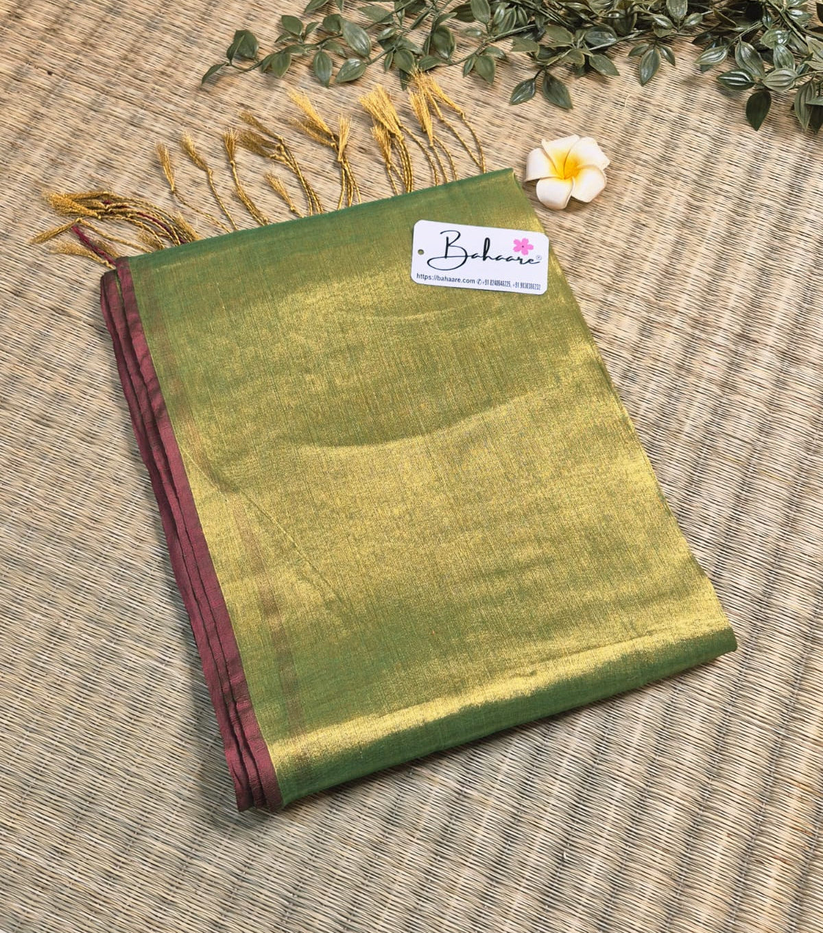 Suhani | Light Green Tissue Saree