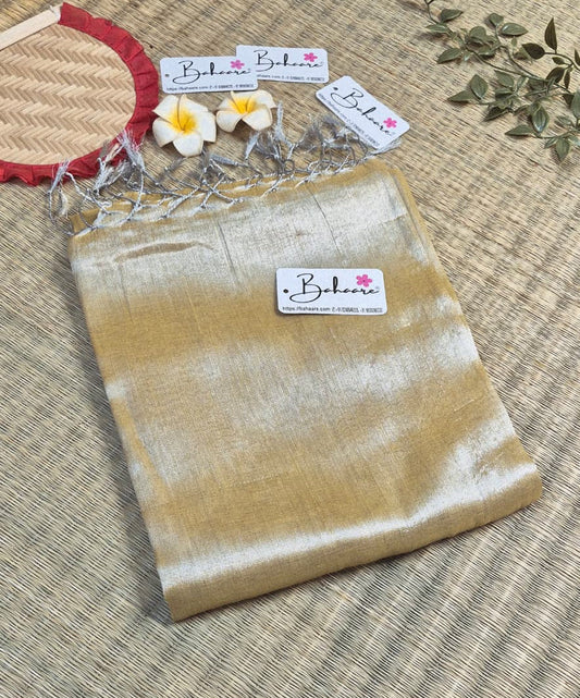 Galaxy | White Gold Tissue Saree