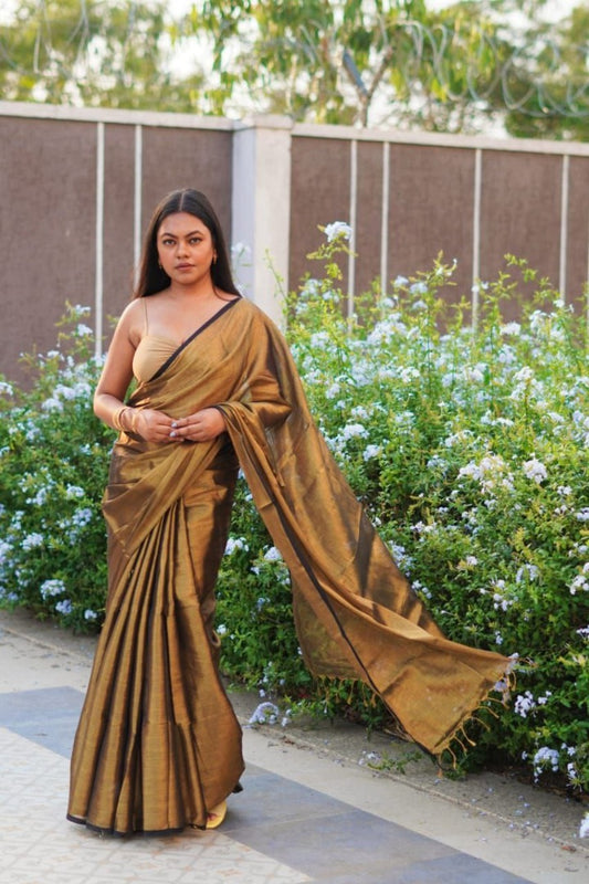 Suhani | Gold Tissue Saree